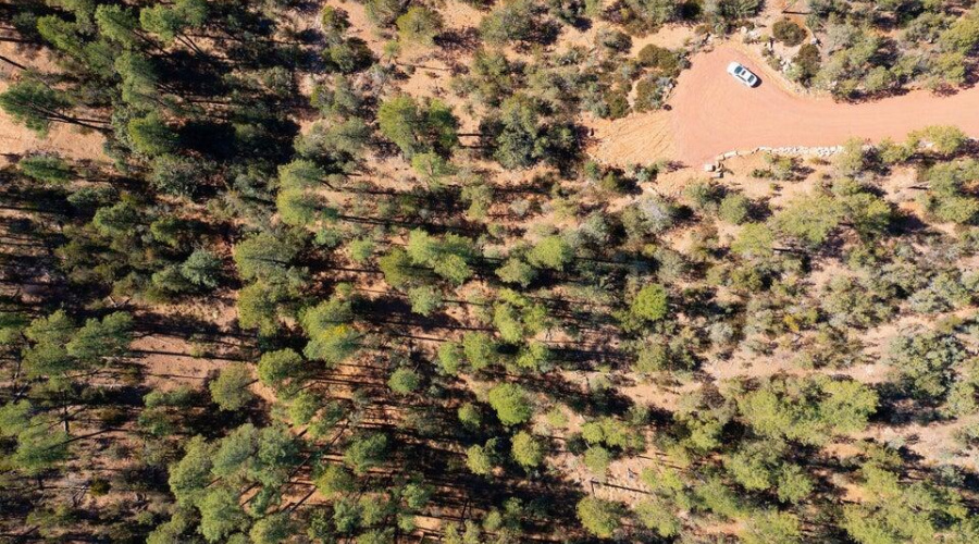 20231115162331672409000000-o