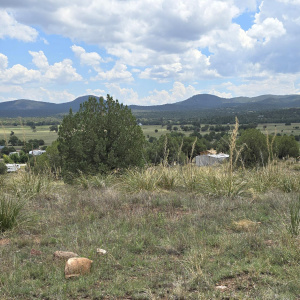 View to S from Bldg Site