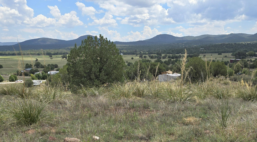 View to S from Bldg Site