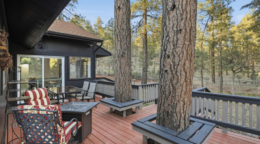 5367_Wild_Turkey_032