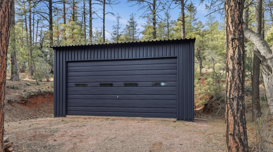 5367_Wild_Turkey_002