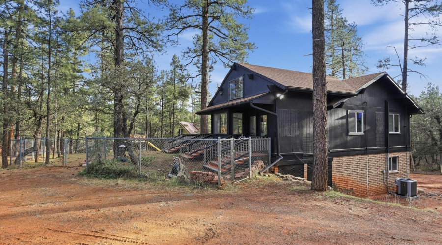 5367_Wild_Turkey_003