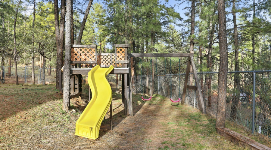 5367_Wild_Turkey_005 copy