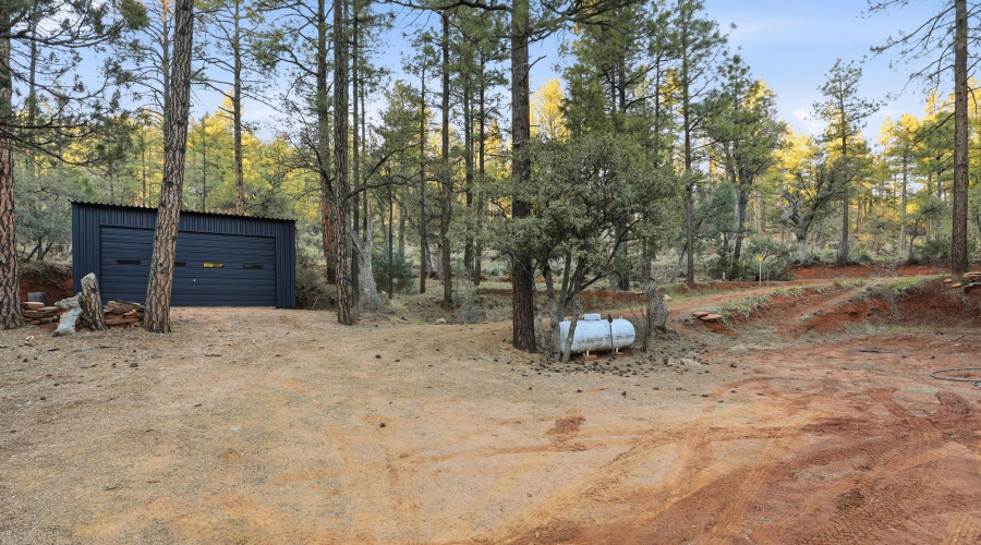 5367_Wild_Turkey_035 copy