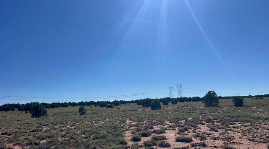 20251014202345790316000000-o