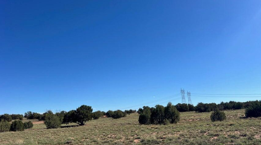 20251014202347831591000000-o