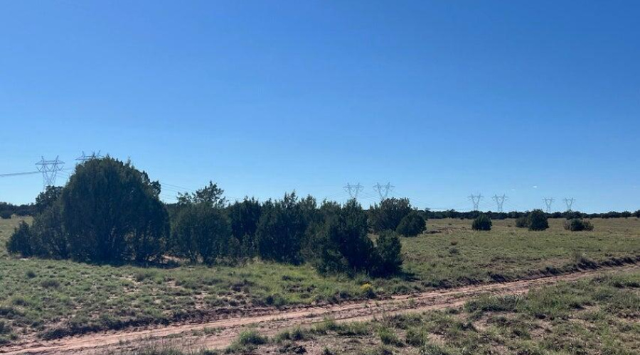 20251014201649492318000000-o