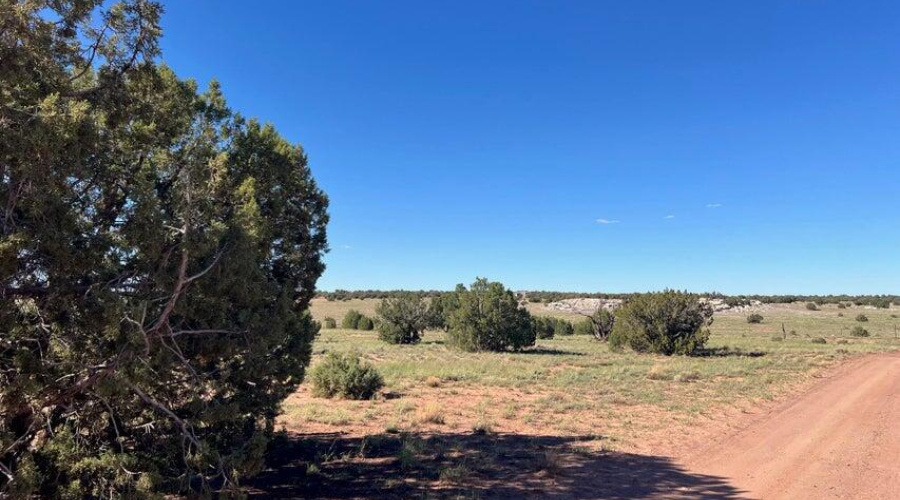 20251014201656389246000000-o