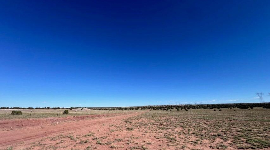 20251007171020338103000000-o