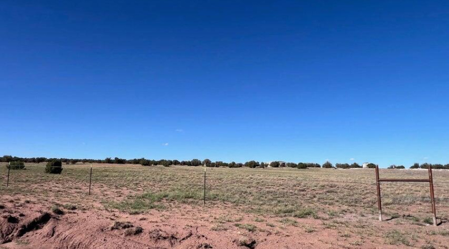 20251007171024476654000000-o