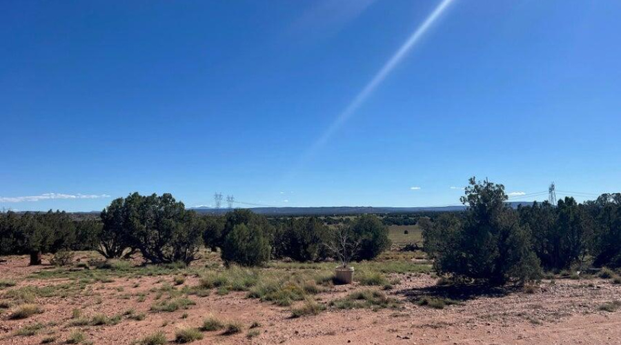 20251007154435838402000000-o