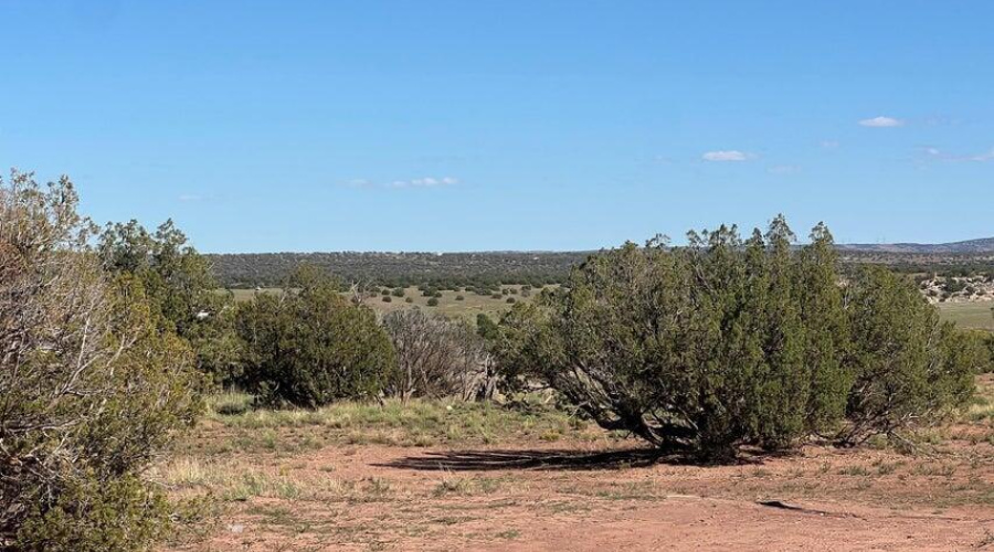 20251007154451410617000000-o