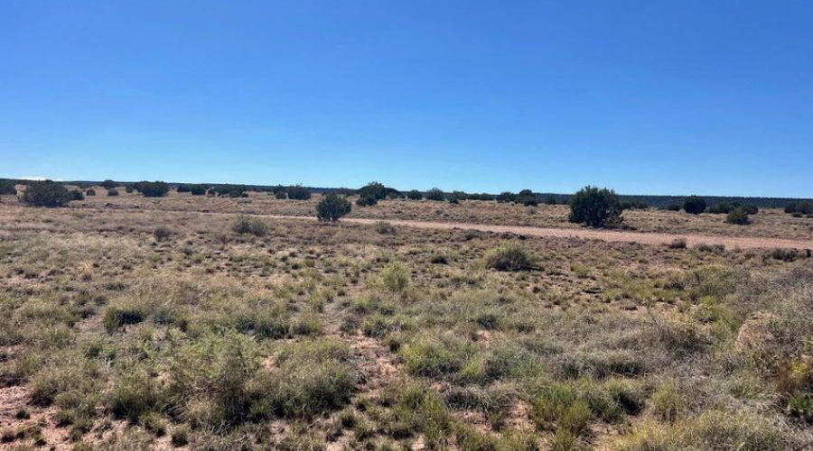 20251007154353661540000000-o