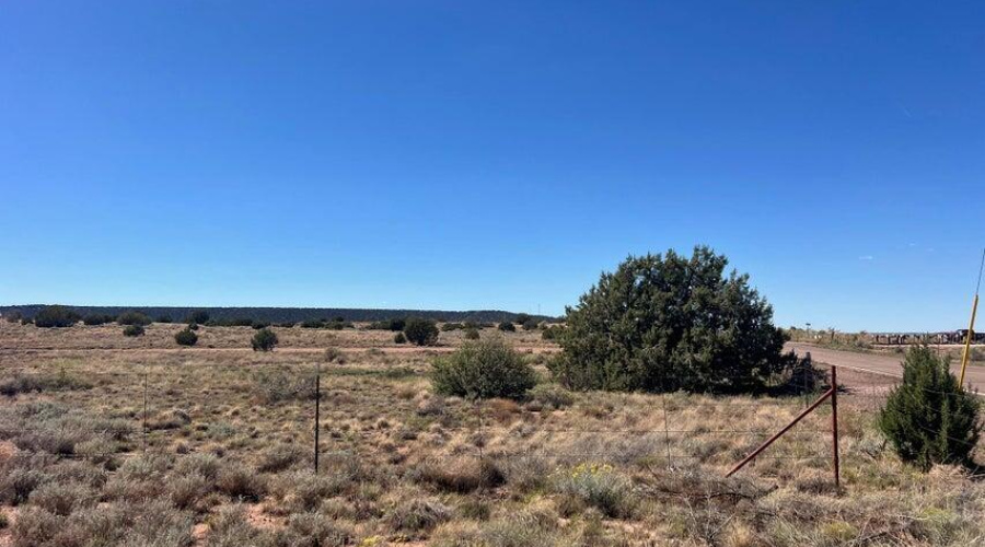 20251007154401423859000000-o