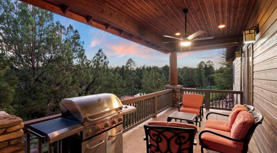 Back Porch - Main Level