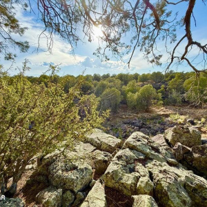 20250824020703921294000000-o