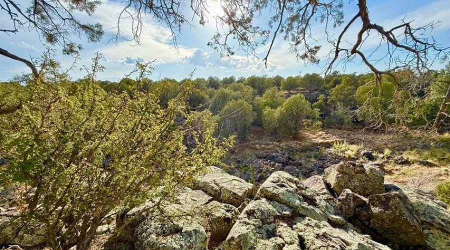 20250824020703921294000000-o