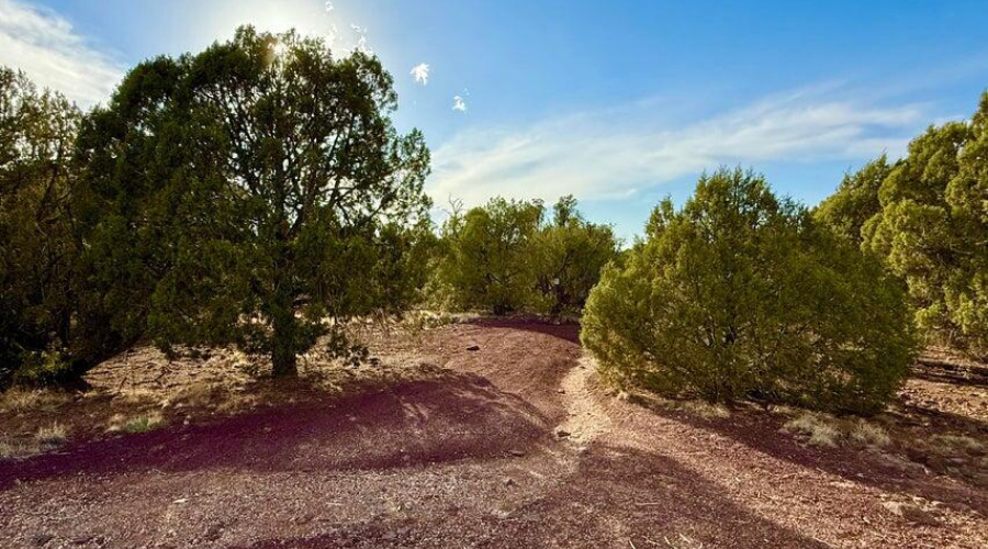 20250824020421392647000000-o