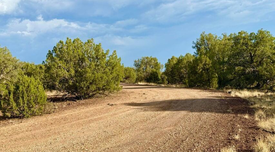 20250824020429764087000000-o