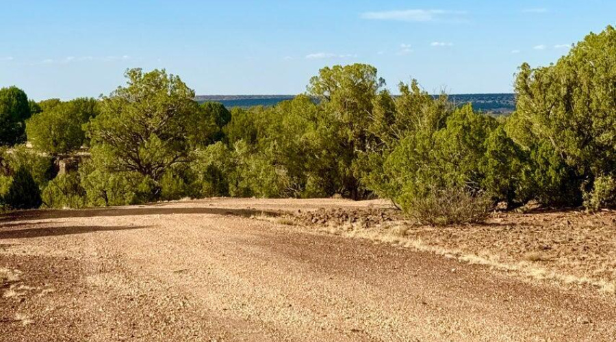 20250824022040743823000000-o