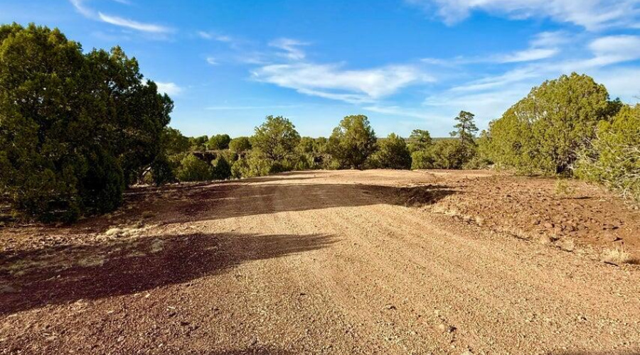 20250824020446803195000000-o