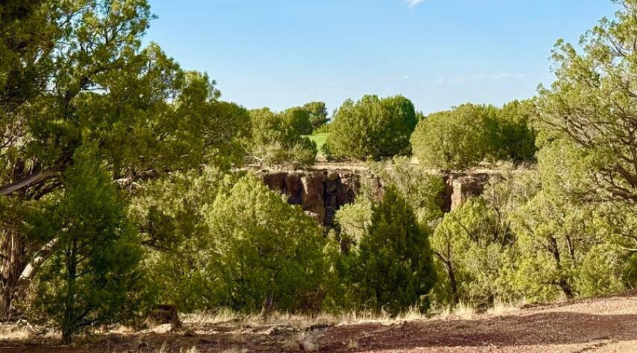 20250824021926000399000000-o