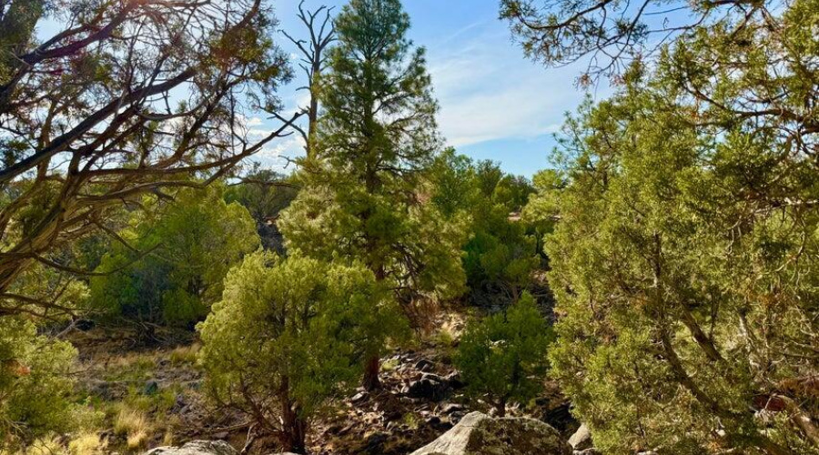 20250824021315861778000000-o