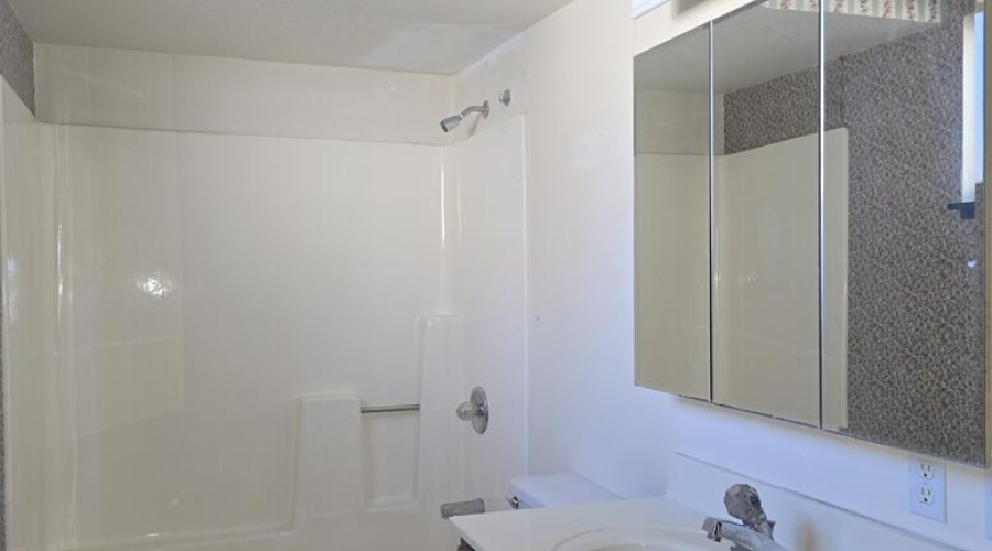 Main Level Master Bathroom