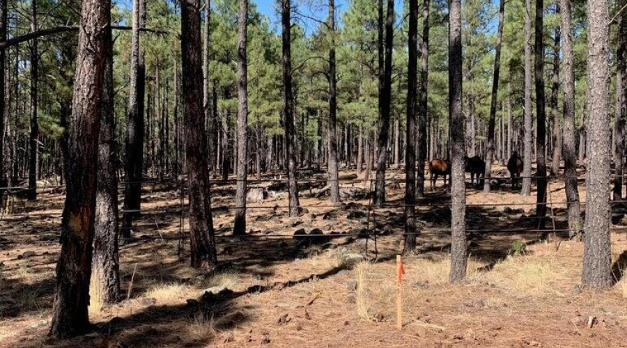 20250728180140401586000000-o