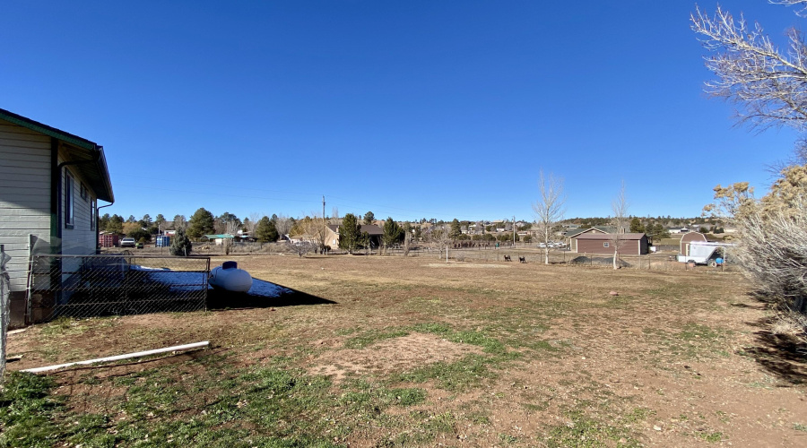 Fenced Yard