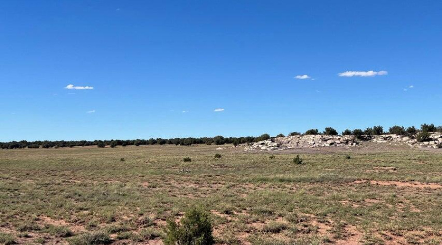 20251007162201306362000000-o