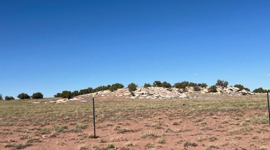 20251007162213900984000000-o