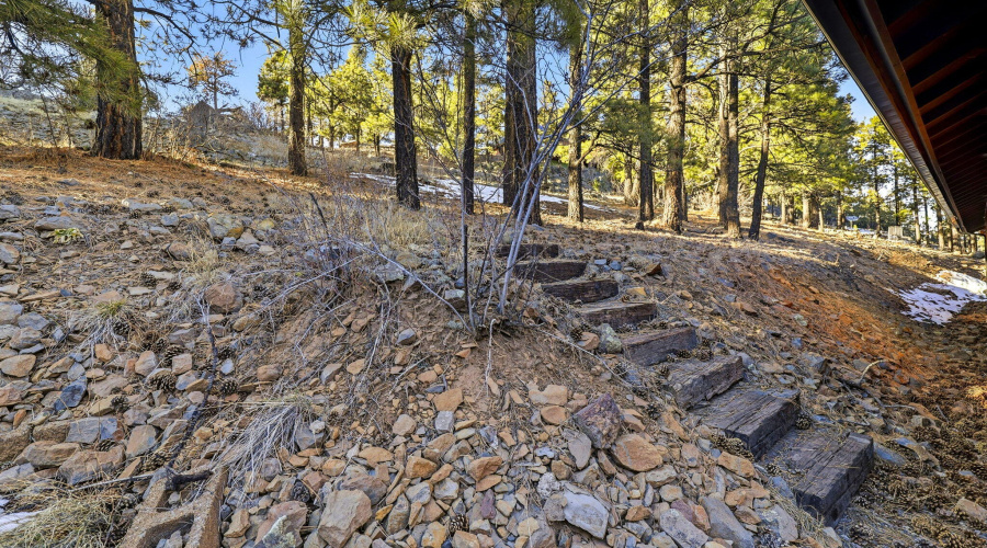 111CR1120-Greer-AZ-32