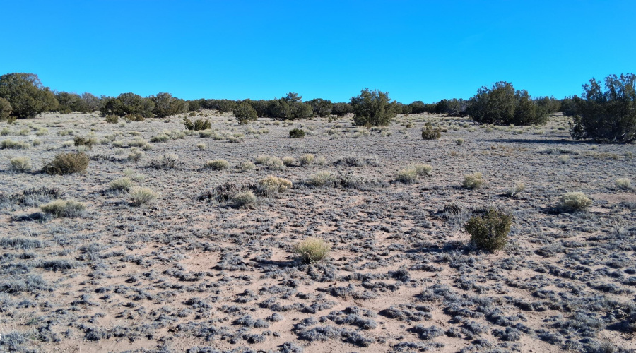 204-64-857 SE View from SE corner