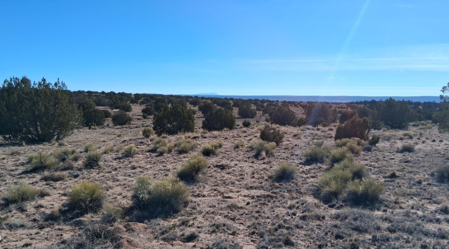 204-64-857 South view