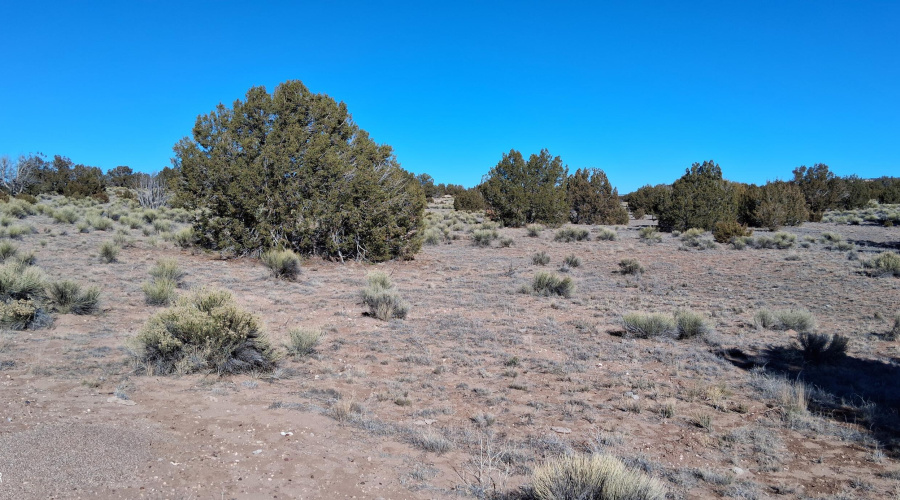 204-64-857 SW corner facing NE Corner