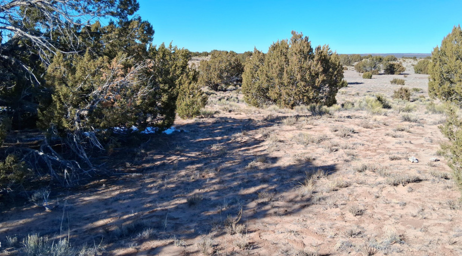 204-64-857 Terrain (2)