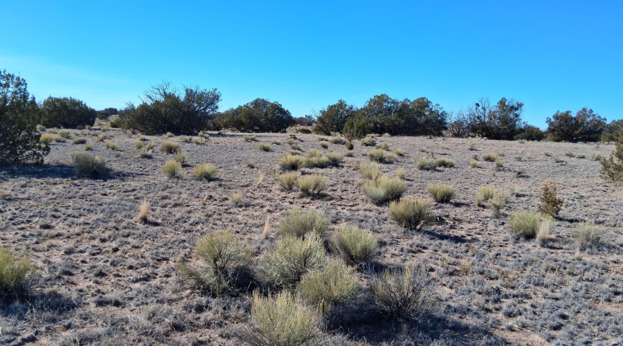 204-64-857 West view