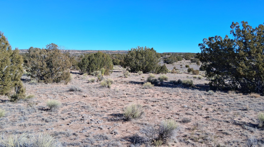 204-64-857 East view