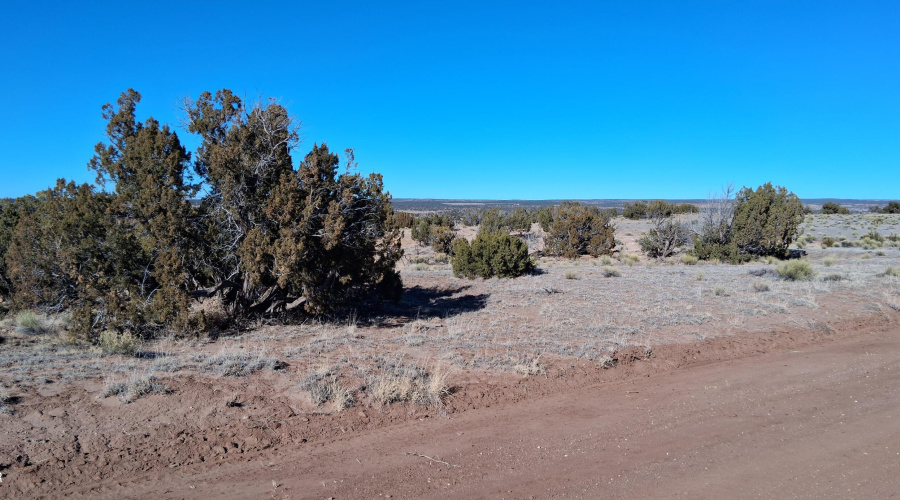 204-64-857 NE view from NE Corner