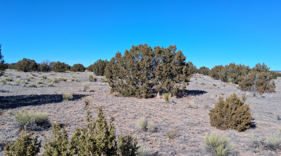 204-64-857 North view