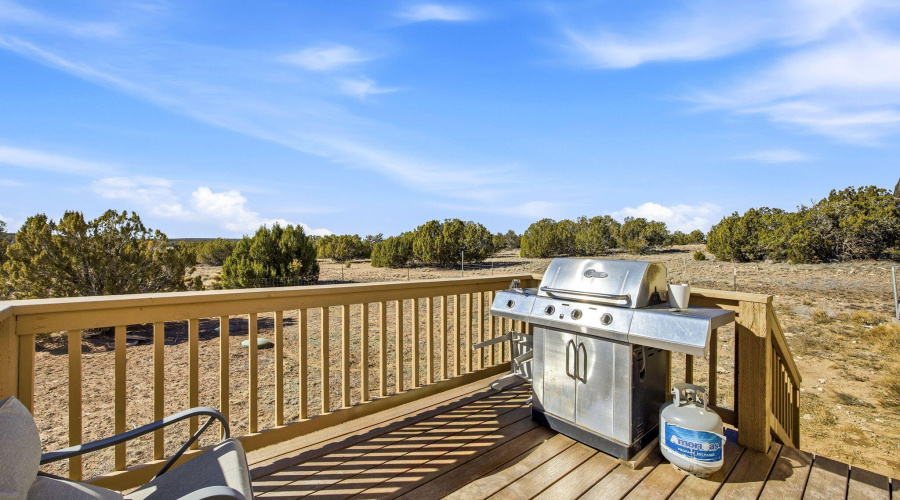 136N8202-ConchoAZ-20