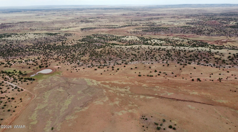 dji_fly_20240610_123910_448_171804842011