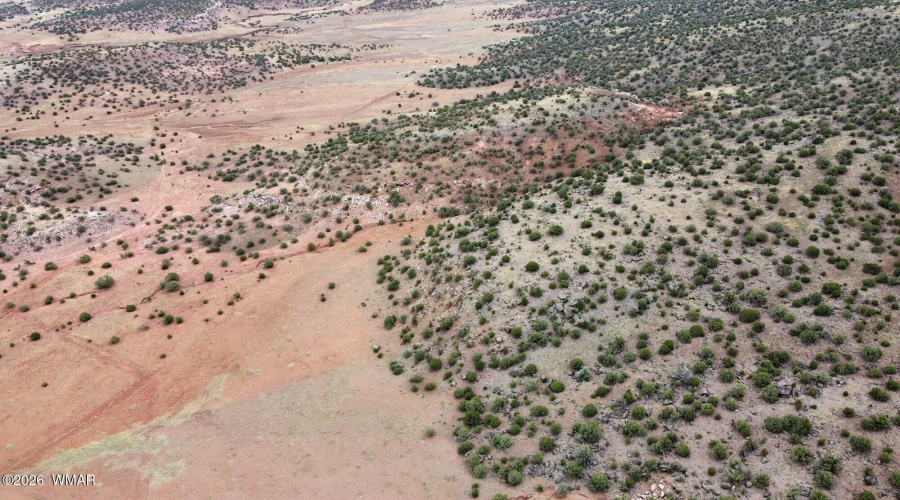 dji_fly_20240610_123932_450_171804842824