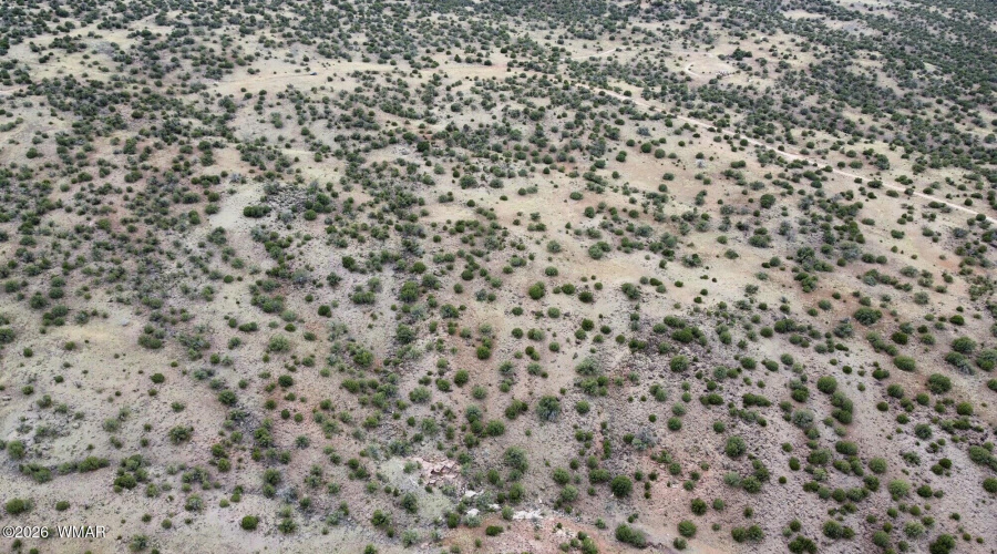 dji_fly_20240610_123952_453_171804843329