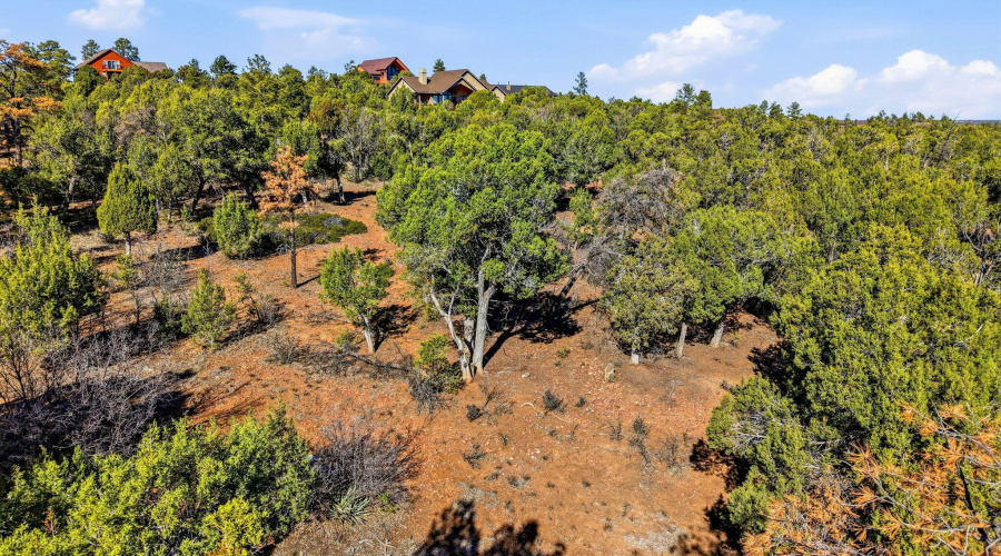 1821SRidgeCrestDr-ShowLow-AZ-4