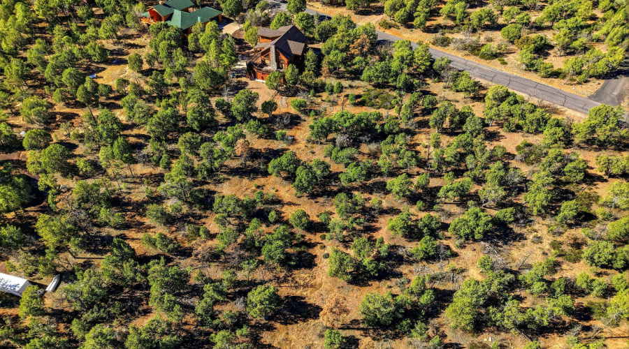 1821SRidgeCrestDr-ShowLow-AZ-6