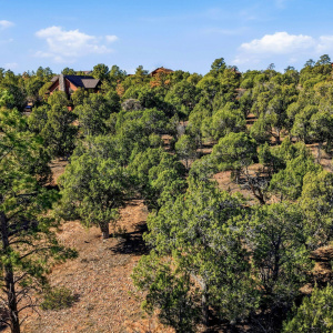 1821SRidgeCrestDr-ShowLow-AZ-5