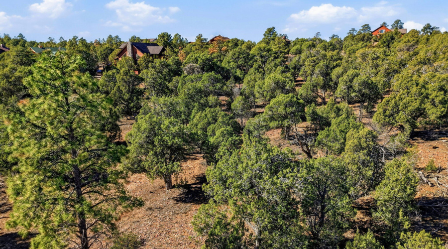 1821SRidgeCrestDr-ShowLow-AZ-5