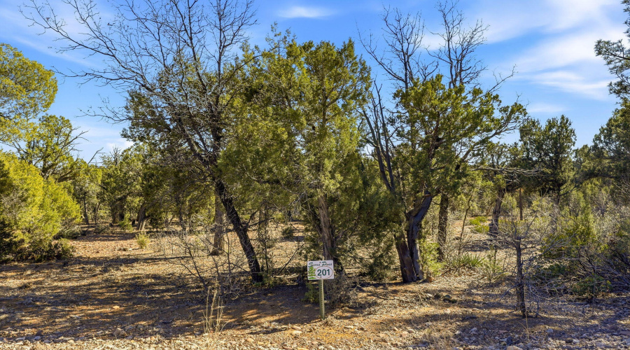 1821SRidgeCrestDr-ShowLow-AZ-2